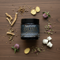 Elevate flat lay